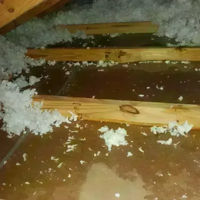 Attic Water Damage in Minooka, IL